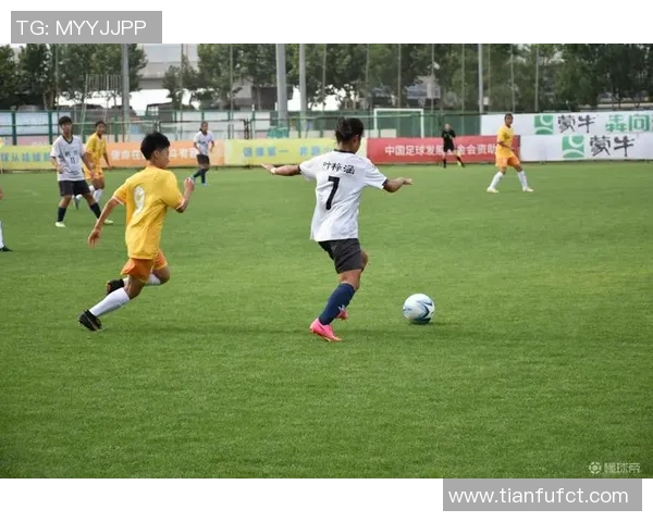 足球调查法在青少年足球发展中的应用与影响研究